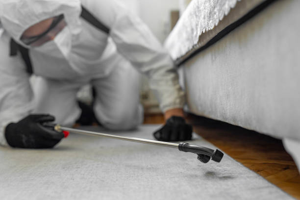 Professional Termite Control technician working in Hibbing, MN