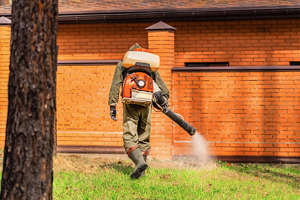 Trusted Bed Bug Control service in Hibbing, MN - Nex Pest Control